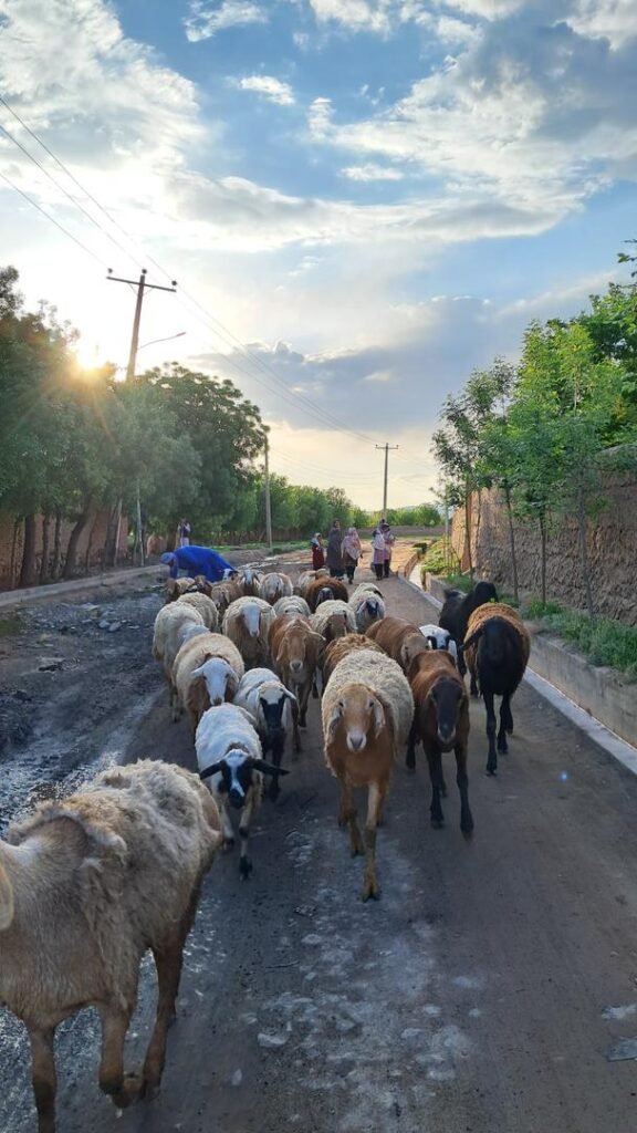 Village Life Tour Afghanistan