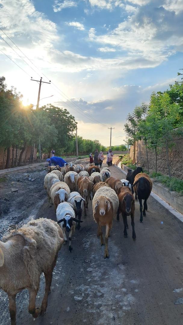 Village Life Tour Afghanistan